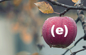 agriculture-apple-blur-257840